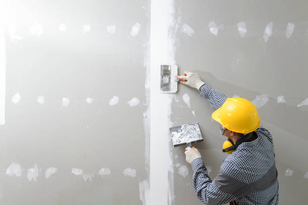 Mold Remediation for Rental Properties in Winfield, AL